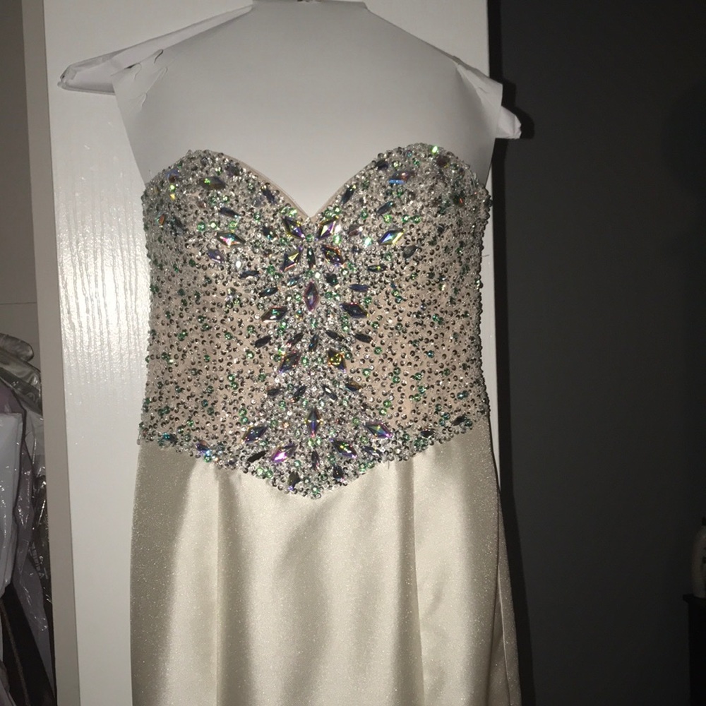 Terani Couture Dress